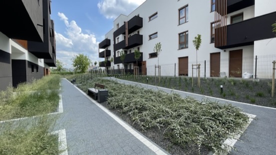 8288827D-2EF8-4FBD-92C6-BBF08D4ED86D_4_5005_c