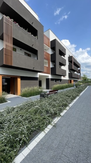 E862DBAC-D7C9-408C-BC43-BF6D5EA2600B_4_5005_c